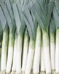 Leek - American Flag