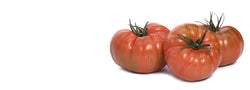 Lachaman F1 Beefsteak Tomato