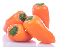 Lunchbox Orange Mini Pepper
