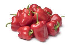 Lunchbox Red Mini Pepper