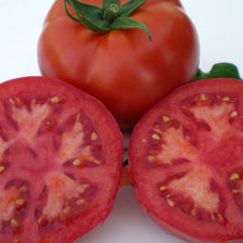 Meys F1  (41-23) Beefsteak Tomato (TY)