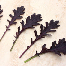 a-ya 様 symphony mustard MODEL 25 ALTO – AS4348 – Antigua Winds