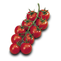 【NAOMIページ】 ATH Raw Cherry Naomi F1 Cherry Tomato – Paramount Seeds Inc