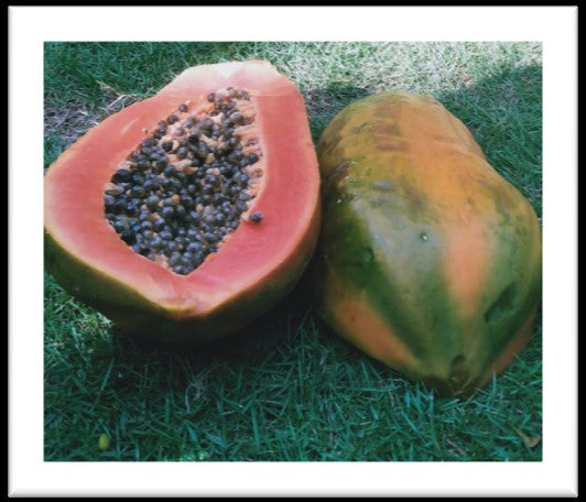 Red Nemesis F1 Papaya Seed