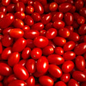 Ruby Crush F1 Cherry Tomato