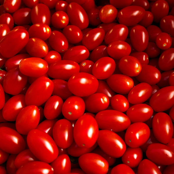 Ruby Crush F1 Cherry Tomato