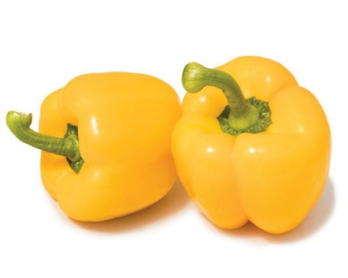 Sardinero Yellow Bell Pepper