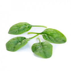 Spinach - Sunangel F1 (Untreated seed)