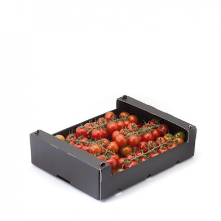 Tastery F1  Cherry Tomato (RZ 72-136)