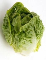Lettuce Thumper