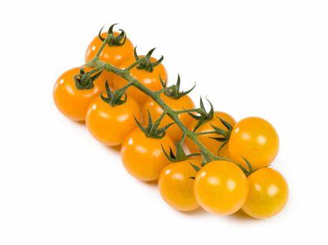Tomagellow F1 Cherry Tomato