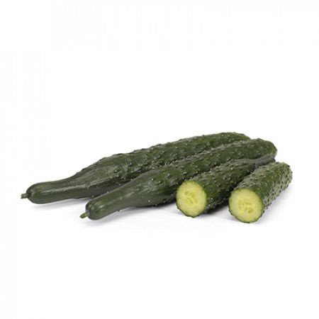Wokcue (27-103) F1 Asian Cucumber