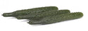 Wokcue (27-103) F1 Asian Cucumber