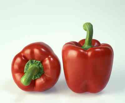 Zamboni F1 Red Bell Pepper – Paramount Seeds Inc