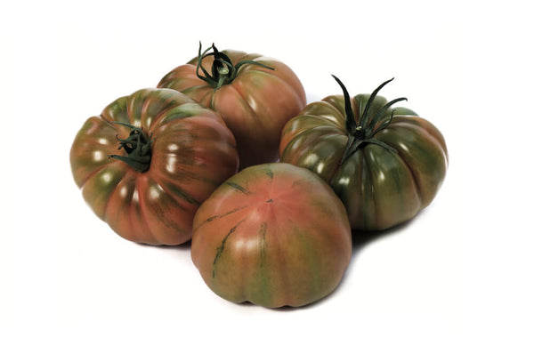 Bocamegra F1 Beefsteak Tomato