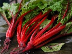 Chard - Ruby Red