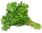 Coriander / Cilantro