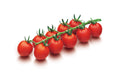 Conchita F1   Cherry Tomato