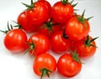 Tomato Favorita