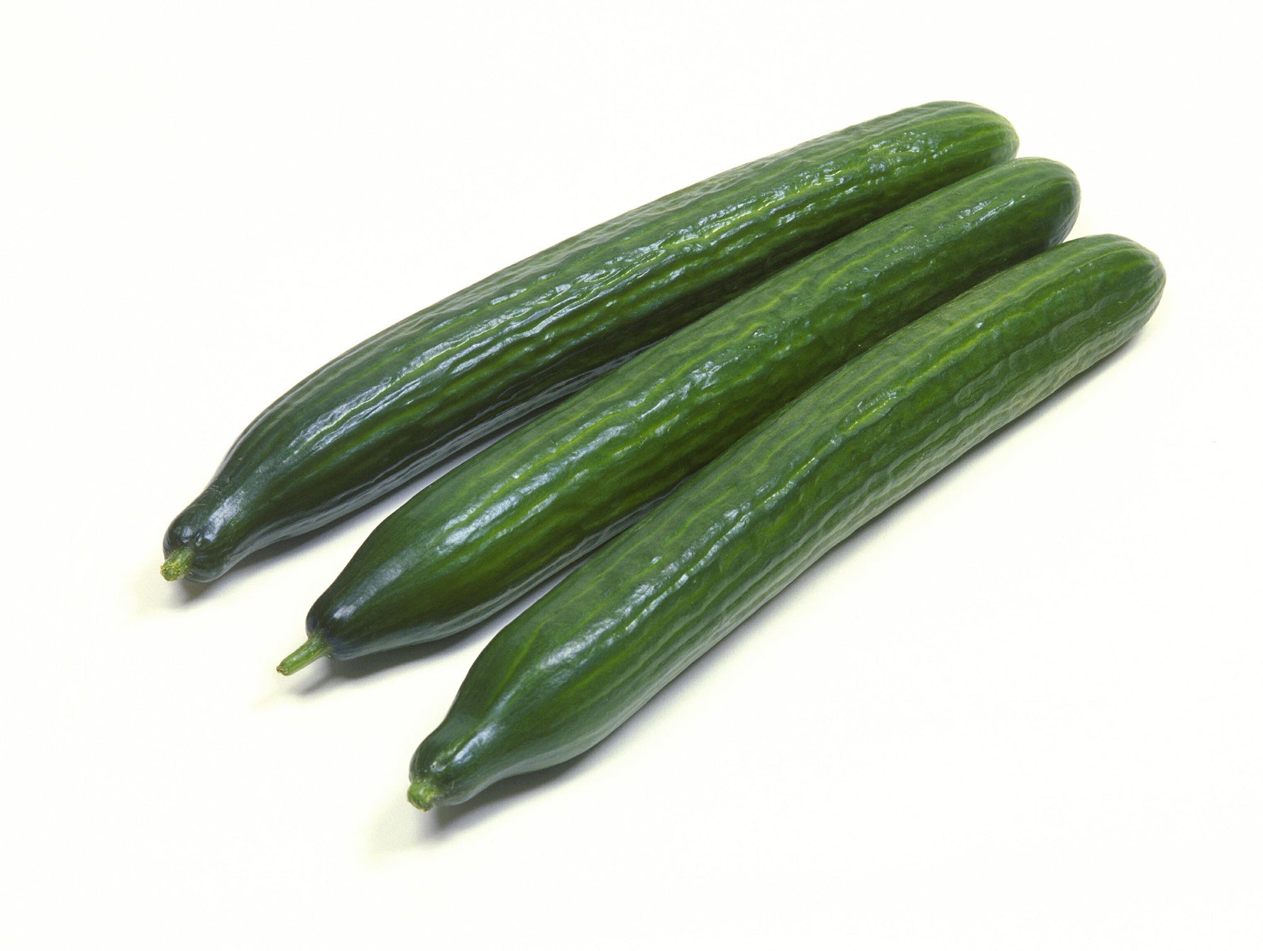 Cucumber
