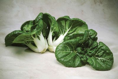 Cabbage Pak Choi