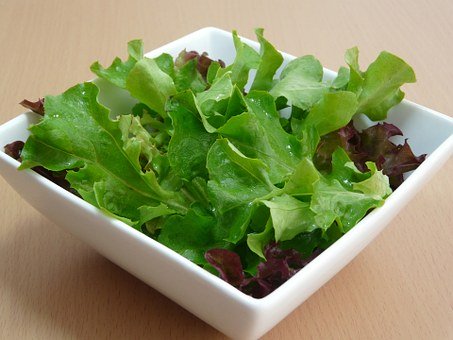 Salad Bowl Lettuce (Green)