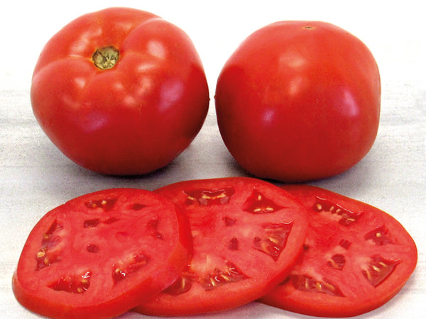 Sunfresh Beefsteak Tomato
