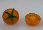 Tomato Toronjina