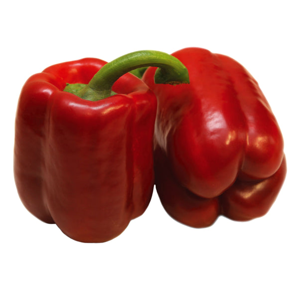 Wren Red Bell Pepper